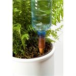 בייביסיטר עם בקבוק 